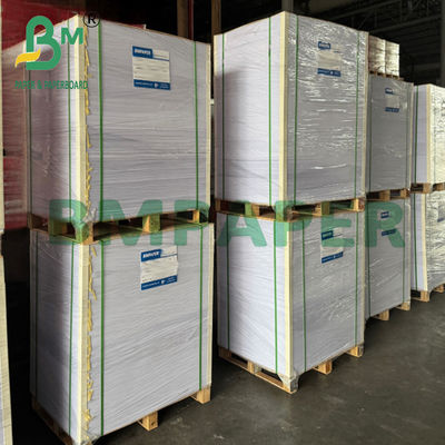 Papel Kraft Blanco Laminado Anti-grasa 75gsm para Hornear Alimentos 500x600mm