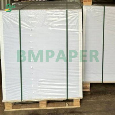 Papel de piedra impermeable de 250 mm resistente a la lágrima en rollo para impresión