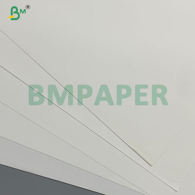 Papel de piedra impermeable de 250 mm resistente a la lágrima en rollo para impresión