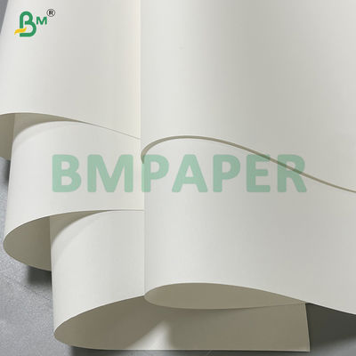 Papel de piedra impermeable de 250 mm resistente a la lágrima en rollo para impresión