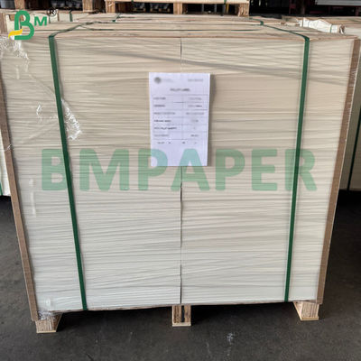 Papel Cupstock de 230 g/m² + Recubrimiento de PE de una cara de 15 g, hojas de 60 x 40 cm