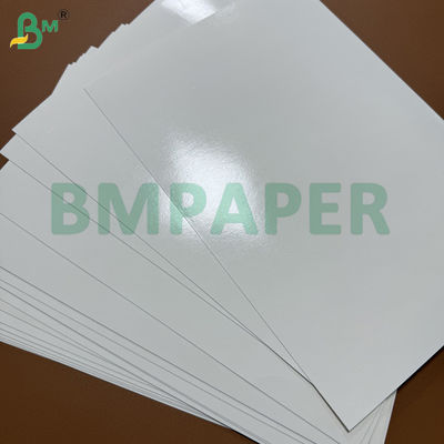 Papel Cupstock de 230 g/m² + Recubrimiento de PE de una cara de 15 g, hojas de 60 x 40 cm