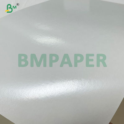 240 gm + 20 gm de papel de base de copa recubrido con PLA biodegradable en rollo