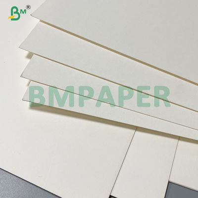 240 gm + 20 gm de papel de base de copa recubrido con PLA biodegradable en rollo