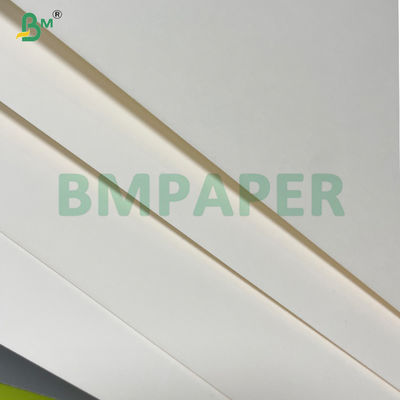 240 gm + 20 gm de papel de base de copa recubrido con PLA biodegradable en rollo