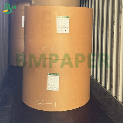 Material de papel de taza de bollo de color sin fugas para cocinar dulces