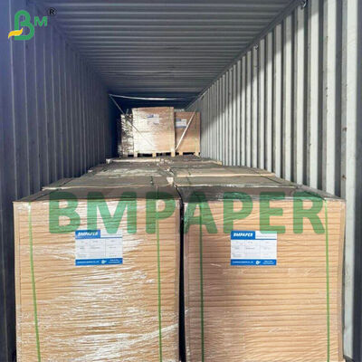 Material de papel de taza de bollo de color sin fugas para cocinar dulces