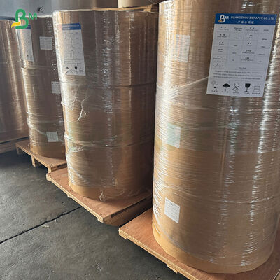 40 g de papel colorido para cargador de muffins a prueba de grasa