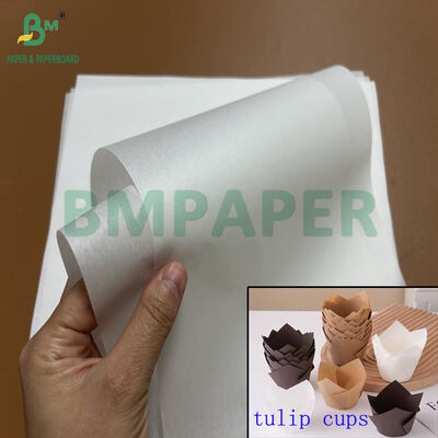 30gm 40gm Seguridad alimentaria Papel resistente a la grasa para la taza de horneado de tulipanes 1100mm 1200mm Rollo