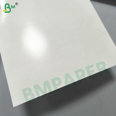 Food Grade Paper Cup Base Paper, Single / Double Side PE Coated 180-350gsm