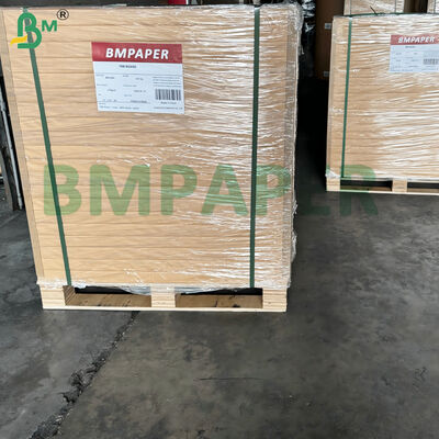 Papel Kraft Blanco con Recubrimiento a una Cara de 200-360 g/m², Apto para Alimentos, Resistente a Bajas Temperaturas para Envasado de Alimentos