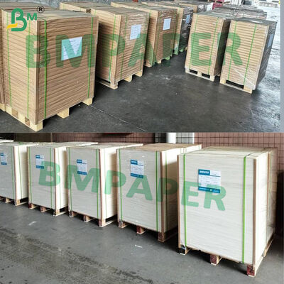 Papel Kraft con Recubrimiento de PE de Grado Alimenticio para Vasos de Bebidas Calientes, Tazones, Envases de Alimentos