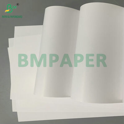 Papel de Etiqueta con Revestimiento Brillante Resistente al Agua por una Cara de 70 g/m² 80 g/m² C1S para Etiquetas de Botella