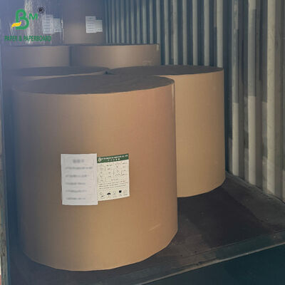 18PT 24PT cartón de papel CCNB revestido en PE para cajas de embalaje de alimentos congelados