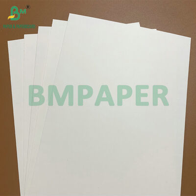 Papel Grado Alimenticio 250-350gsm con Recubrimiento de PE, Impermeable y Resistente a la Grasa, para Bandejas de Comida Desechables y Envases para Llevar