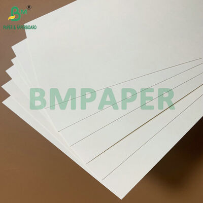 Papel Grado Alimenticio 250-350gsm con Recubrimiento de PE, Impermeable y Resistente a la Grasa, para Bandejas de Comida Desechables y Envases para Llevar
