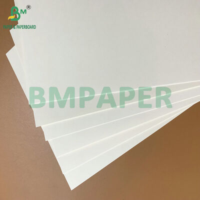 Papel Grado Alimenticio 250-350gsm con Recubrimiento de PE, Impermeable y Resistente a la Grasa, para Bandejas de Comida Desechables y Envases para Llevar