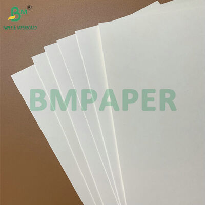 Papel Grado Alimenticio 250-350gsm con Recubrimiento de PE, Impermeable y Resistente a la Grasa, para Bandejas de Comida Desechables y Envases para Llevar