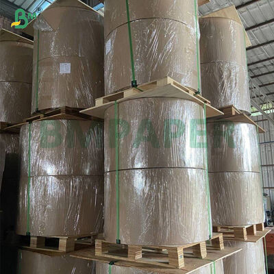 Papel revestido con cera anti-agua para la bolsa de cultivo de mango