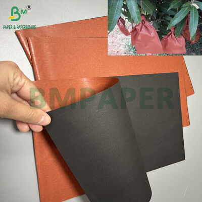 Papel para embolsar fruta con revestimiento de cera de 56 g/m² para cultivo de fruta, 90 cm, 100 cm