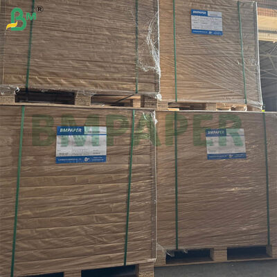 Hojas de papel de filtro de café certificadas de grado alimenticio con tamaño grande y opciones de gramaje dual para preparación casera y comercial