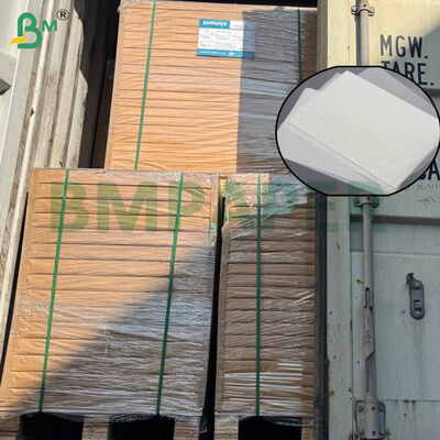 Hojas de papel de filtro de café certificadas de grado alimenticio con tamaño grande y opciones de gramaje dual para preparación casera y comercial