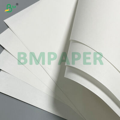 Papel Kraft Blanqueado de Alta Elasticidad de 120 g/m² para Rollos de Bolsas de Compras