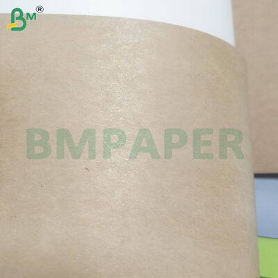 Rollos de papel Kraft con revestimiento de PE de 350 g/m² + 10 g/m² para cuencos/platos de grado alimenticio