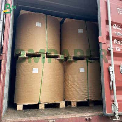 El papel Rolls Testliner de Brown Kraft recicló el tablero 200gsm del trazador de líneas