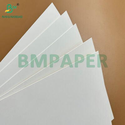 Food Grade Coated 365gsm Kraft Back Board (CKB) for Frozen Food Boxes & Bakery Packaging