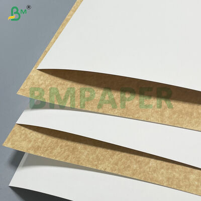 Papel de cartón blanco revestido con revestimiento para contenedores de alimentos