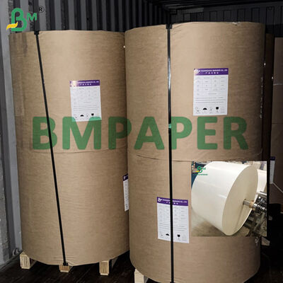 865mm 940mm Food Grade White Cupstock Paper Rolls 150-320gsm + PE Coating