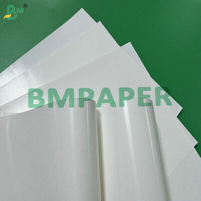 Heat-Sealable Oil-Resistant 15g PE Coating 120g White Kraft Paper Ideal for Dry Food Bags and Snack Packaging