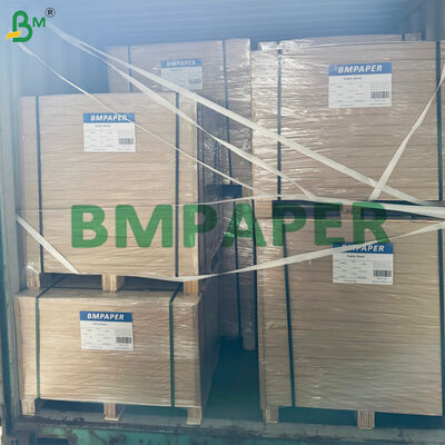 Contenedor de alimentos de papel kraft con recubrimiento de PE marrón