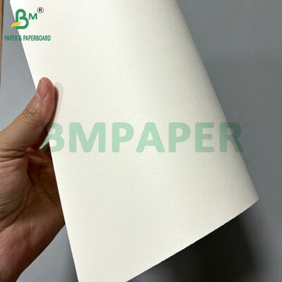 170-320gsm White Color Extruded With 15 PE Cupstock Paper in 70 x 100cm