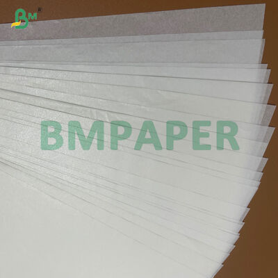 Papel de pergamino recubierto de silicona no adhesivo de 35 gm a 38 gm para hornear sin problemas