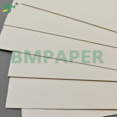 Hojas de papel para cajas de alimentos de 175 g/m² + 10 g/m² PET con recubrimiento resistente al calor