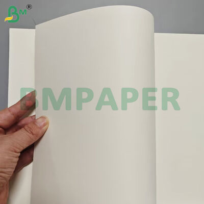 Hojas de papel para cajas de alimentos de 175 g/m² + 10 g/m² PET con recubrimiento resistente al calor