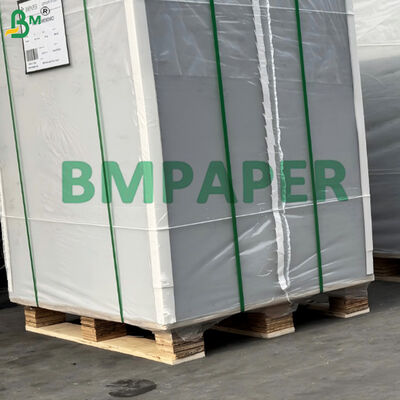 250 gramos de cartón plegable blanco GC2 totalmente recubierto Manila para productos de panadería
