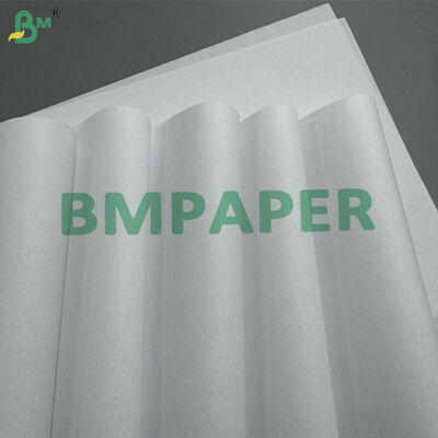 Alta opacidad, excelente plegabilidad, papel offset sin estucar de 40 g/m² y 50 g/m² para Biblias e insertos farmacéuticos