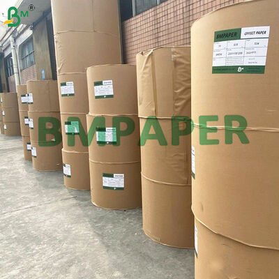 Coffee Filter Paper Unbleached Natural Brown 50gsm for Disposable Filters