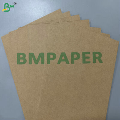Materia prima compostable 100% apta para alimentos y a prueba de grasa, 200 g/m² 300 g/m², papel base de bagazo de caña de azúcar para vajilla desechable