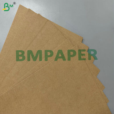 Materia prima compostable 100% apta para alimentos y a prueba de grasa, 200 g/m² 300 g/m², papel base de bagazo de caña de azúcar para vajilla desechable