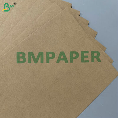Materia prima compostable 100% apta para alimentos y a prueba de grasa, 200 g/m² 300 g/m², papel base de bagazo de caña de azúcar para vajilla desechable