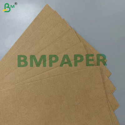Materia prima compostable 100% apta para alimentos y a prueba de grasa, 200 g/m² 300 g/m², papel base de bagazo de caña de azúcar para vajilla desechable