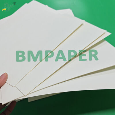210gsm 230gsm Cup Base Paper For Beverage Cups 680mm 740mm High Stiffness