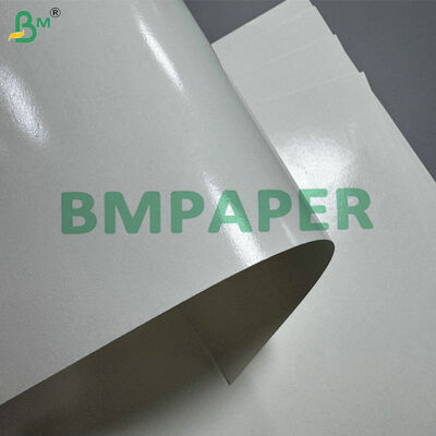 Waterproof & Heat Sealable 210gsm 280gsm Cupstock Paper with PE Coating for Hot/Cold Cups
