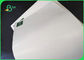 Disponible papel de la fiambrera de 300gsm + de 10g PE para el envasado de alimentos el 100% biodegradable