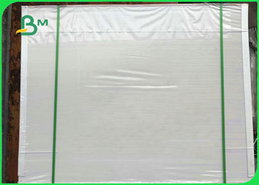 300 gramos de cartón de marfil recubierto de PE blanco para hacer una caja de alimentos 50 * 70cm