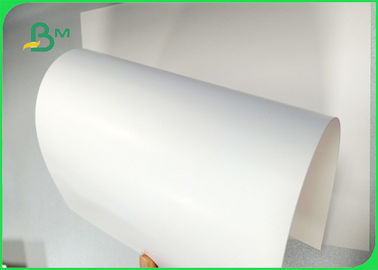 Ancho 700 × 1000 mm Buena suavidad 270 gm 300 gm 350 gm Tablero de marfil para paquetes